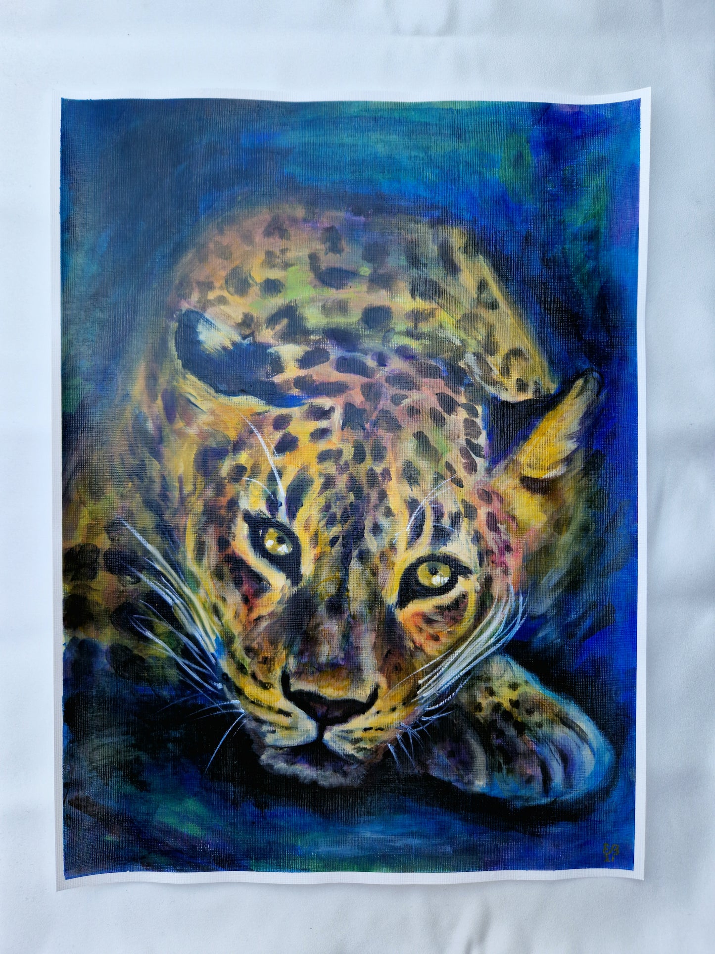 Watchful Gaze | 12 x 16 in