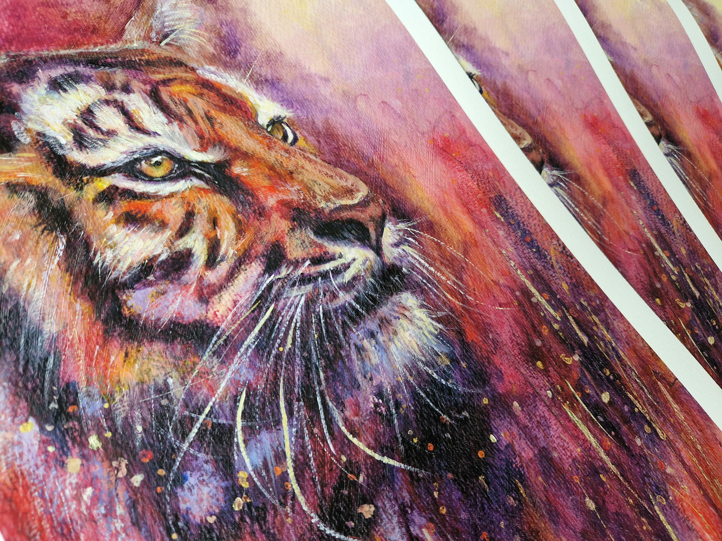 Wisdom's Gaze print | A3 / 11-3/4 x 16-1/5 in