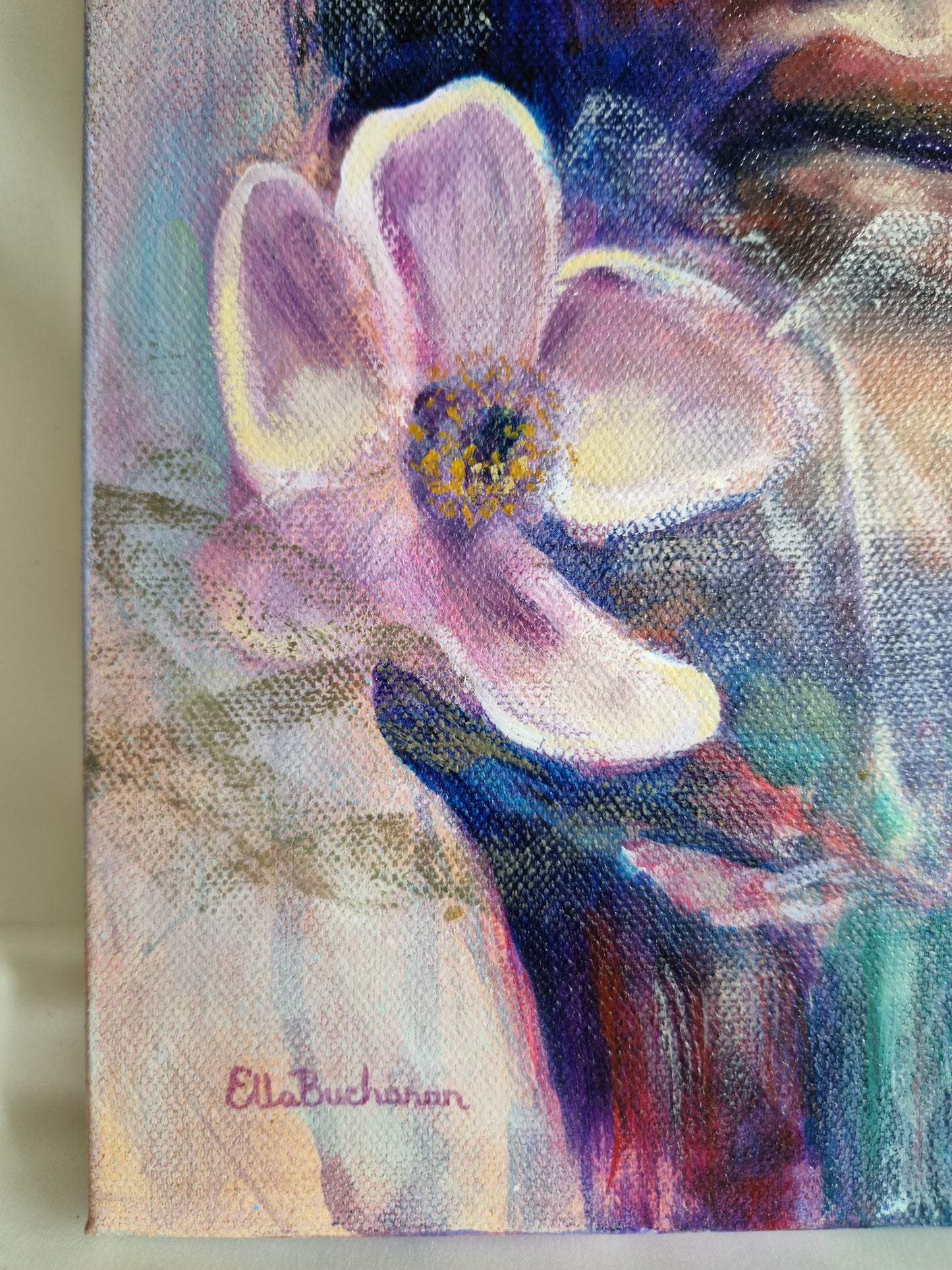 Anemone Dreams | 11 x 14 in